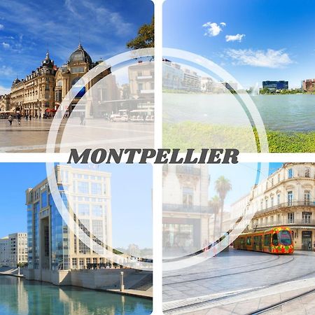 Le Calderini Appart - Face Plage Wifi Et Park Gratuit Calme - Resid Le Surcouf -Top Pros Servicesconciergerie La Grande Motte Exterior foto